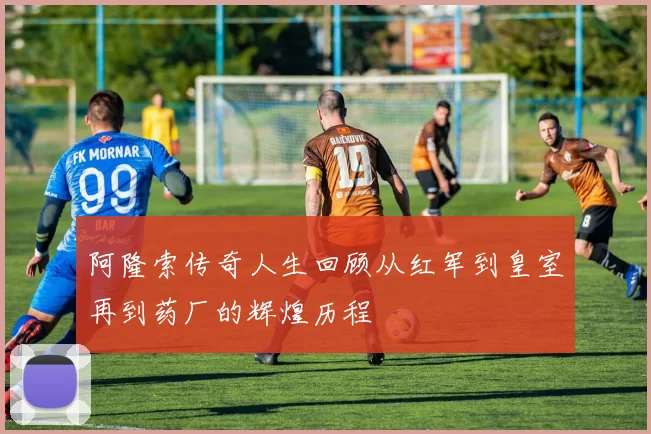 阿隆索传奇人生回顾从红军到皇室再到药厂的辉煌历程