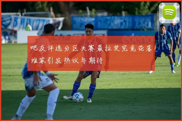 吧友评选分区决赛最拉奖究竟花落谁家引发热议与期待